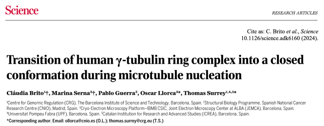 Science重磅：首次捕獲人類細胞“高速公路”構建過程的高分辨率圖像，為微管相關疾病的治療指明新的方向！